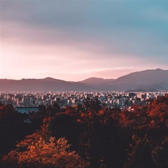 Kyoto, Japan: A Journey Through Temples, Gardens and Tradition