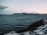 Reykjavik and Iceland's Golden Circle: Gateway to Extraordinary Landscapes