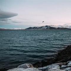 Reykjavik and Iceland's Golden Circle: Gateway to Extraordinary Landscapes