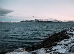 Reykjavik and Iceland's Golden Circle: Gateway to Extraordinary Landscapes