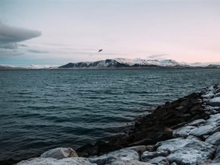 Reykjavik and Iceland's Golden Circle: Gateway to Extraordinary Landscapes