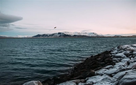Reykjavik and Iceland's Golden Circle: Gateway to Extraordinary Landscapes