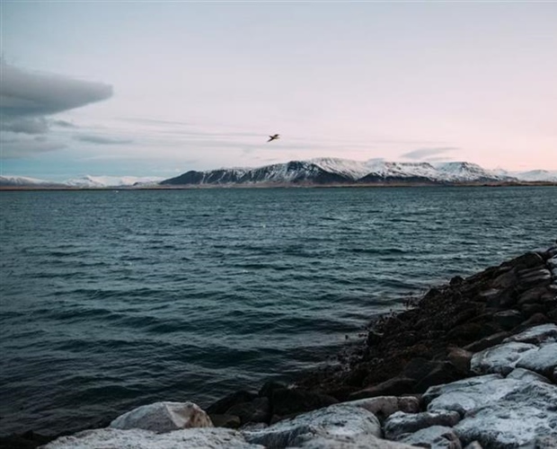 Reykjavik and Iceland's Golden Circle: Gateway to Extraordinary Landscapes