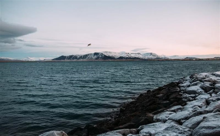 Reykjavik and Iceland's Golden Circle: Gateway to Extraordinary Landscapes
