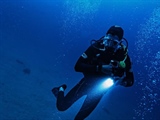 Dive Watches: From Professional Tools to Everyday Icons
