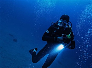 Dive Watches: From Professional Tools to Everyday Icons