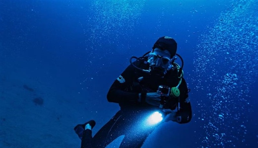 Dive Watches: From Professional Tools to Everyday Icons