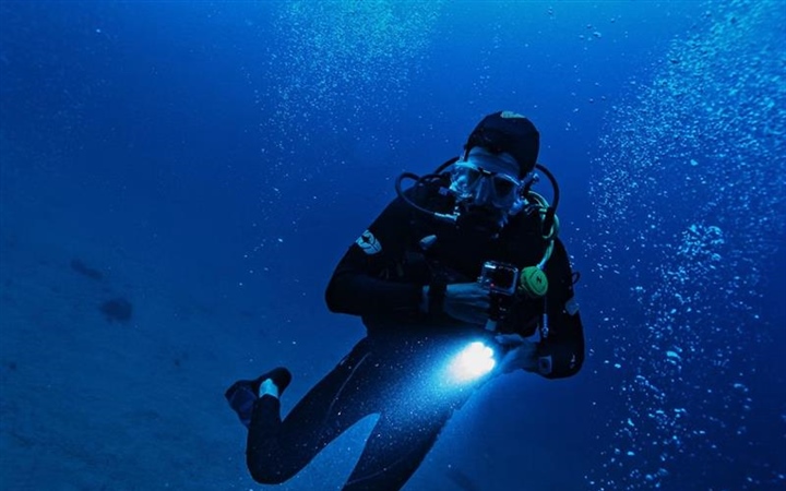 Dive Watches: From Professional Tools to Everyday Icons