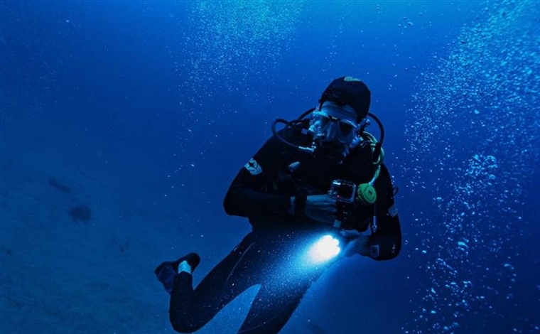Dive Watches: From Professional Tools to Everyday Icons