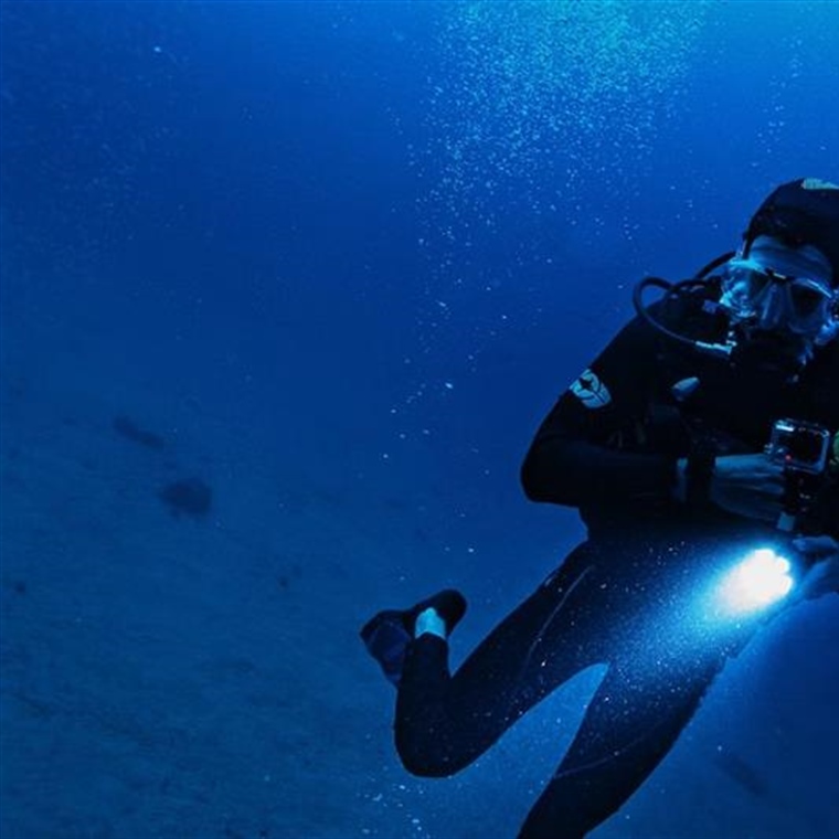 Dive Watches: From Professional Tools to Everyday Icons
