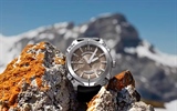 Watch Materials: Steel, Titanium, Ceramic, Gold, and More