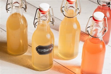 Kombucha: The Fermented Tea Drink With a Distinctive Taste
