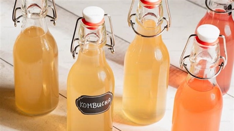Kombucha: The Fermented Tea Drink With a Distinctive Taste