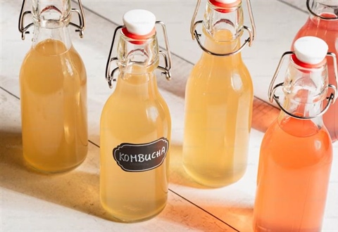 Kombucha: The Fermented Tea Drink With a Distinctive Taste