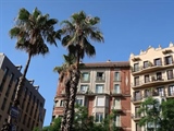 The Future of Real Estate: How Homes and Cities Are Changing
