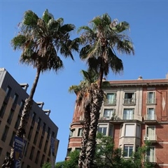 The Future of Real Estate: How Homes and Cities Are Changing