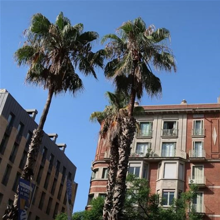 The Future of Real Estate: How Homes and Cities Are Changing